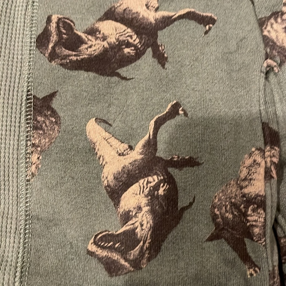 Dinosaur sweatpants and hoodie - Picture 2 of 8